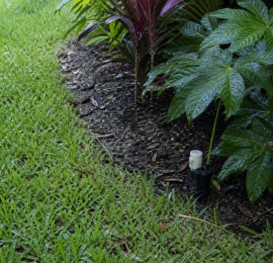 Orlando Pro Landscape Editorial Team, founder of Orlando Pro Landscape